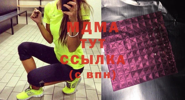 индика Нижний Тагил