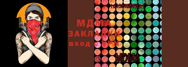 индика Нижний Тагил