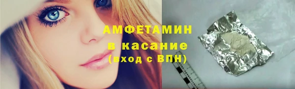 индика Нижний Тагил