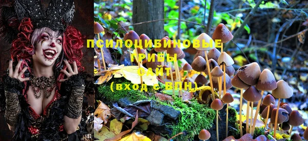 МДПВ Ладушкин